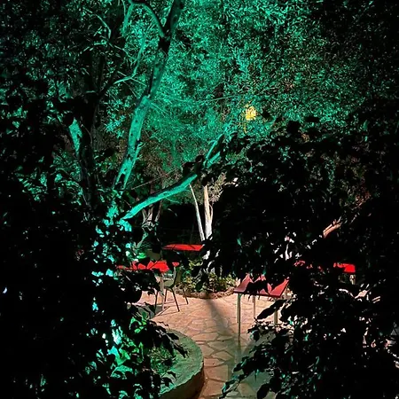 B&B Ata Bungalow *